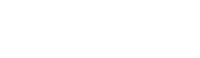 Viss Safe
